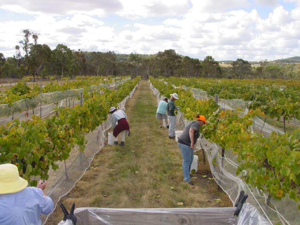 Fergies Hill Spa @ Granite Ridge Wines Country house